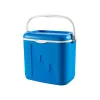 Curver Kühltasche L 32L