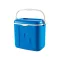 Curver Kühltasche L 32L