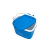 Curver Kühltasche L 32L