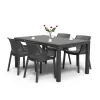 Evody 4+1 Gartenmöbel-Set