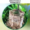 Lookgrow-Säcke für Setzlinge