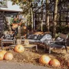 Texas Gartenmöbelset für 4 Personen