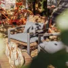 Texas Gartenmöbelset für 4 Personen