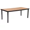 IZZY 8-Sitzer Gartenmöbel-Set braun Tischplatte