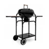 MIR270 mit Holzkohlegrilldeckel