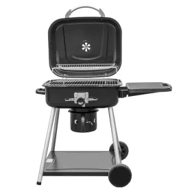 MIR417 mit Holzkohlegrilldeckel