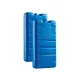 Curver Eisbeutel-Set 2x400 gr