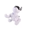 Der intelligente, interaktive Roboterhund Neo