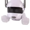 Der intelligente, interaktive Roboterhund Neo
