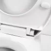 Cleano Monoblock WC mit Rückspülung und Sitz