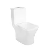 Nile Monoblock-Kompakttoilette mit Absenkautomatik und Bodenspülung