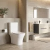 Nile Monoblock-Kompakttoilette mit Absenkautomatik und Bodenspülung