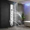 Aquapro Hydromassage-Duschpaneel