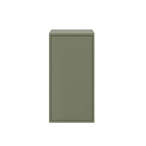 Boxie 1 Tür Hängeschrank 80x40x37 cm grün