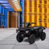 Elektrische Vierer schwarz