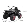 Electric Quad schwarz XL