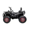 Electric Quad schwarz XL