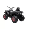 Electric Quad schwarz XL