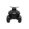 Electric Quad schwarz XL