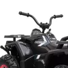 Electric Quad schwarz XL