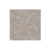 Leziter Reno Stein-Effekt grau Vinyl SPC Bodenbelag