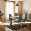 Mezza 4+1 Esstisch-Set grau-grau