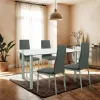 Verna 4+1 Esstisch-Set grau-grau