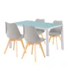 Nuvia 4+1 Esstisch-Set weiß-grau