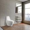 Coral Monobloc-WC-Schüssel mit Absenkautomatik und Bodenspülung