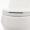 Coral Monobloc-WC-Schüssel mit Absenkautomatik und Bodenspülung