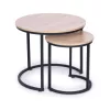 Couchtisch-Set mit Metallgestell 2 Stück