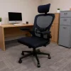 Flexo ergonomischer Büro-Drehstuhl mit Rückenlehne