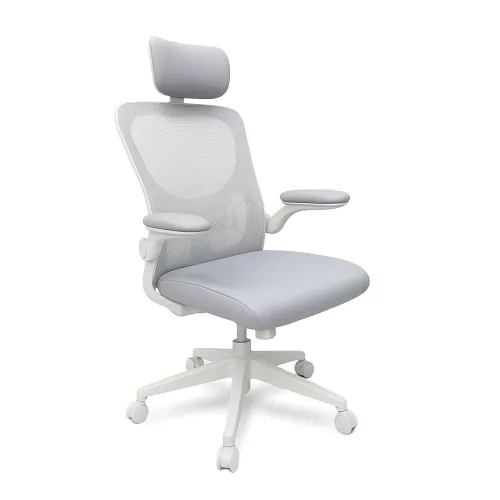 Flexo ergonomischer Büro-Drehstuhl mit Rückenlehne