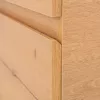 Vario Forte 60 Unterschrank mit Spüle