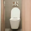 Ride Wandtoilette mit Wasserspülung, mit weich schließendem Sitz