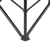 Leziter Angelstuhl schwarz