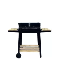 Leziter Grill im Freien