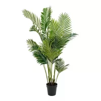 Gras-Pflanzen